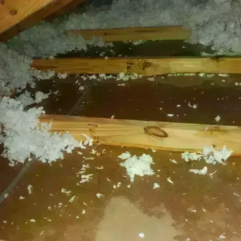 Attic Water Damage in Southport, NC